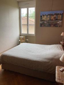 Quiet and central charming apartment, free parking