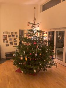 Spacious Villa for Christmas Holiday, close to Copenhagen