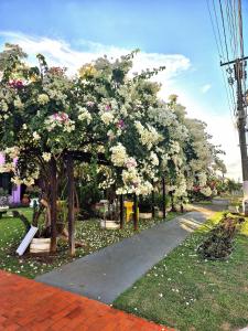 Um quarto na Casa Rosa