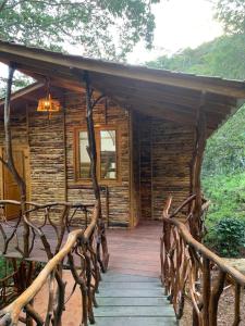 Ana Lucia-Casa del arbol