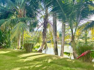 Beachside Studio with Pool, Steps to Playa Bonita
