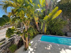 Hilltop Dominican Villa with Pool and Big Terrace