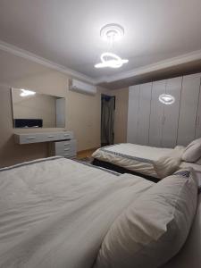 luxury apartment with 3 bedrooms