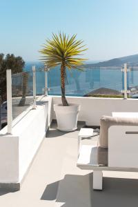 Profithome - Tabaiba Tenerife