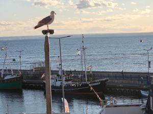 Apartament Portowy Mewy Dwie