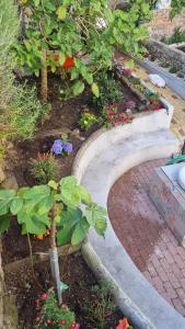 Comfortable rustic house with spacious garden near the beach