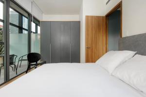 Pet-friendly Furnished 1BR Rental in Mexico City