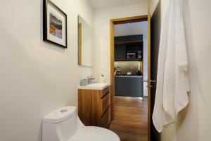 Pet-friendly Furnished 1BR Rental in Mexico City