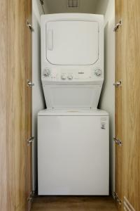 Pet-friendly Furnished 1BR Rental in Mexico City