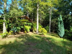 collico lodge kilometro 4 relun