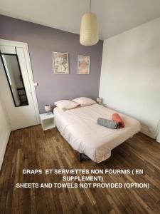 logement cosy au coeur doradour