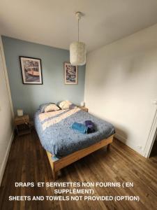 logement cosy au coeur doradour