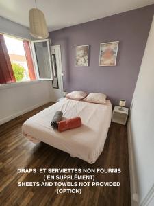 logement cosy au coeur doradour
