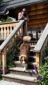 Domek Krzeptowskiego 18