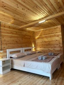 Eco-friendly Guesthouse Tea Gezruli 25 km from Chiatura