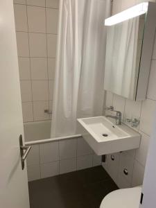 Brand New City Center downtown apartment Zurich Brauer