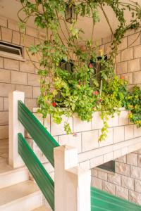 Cosy apartments in Bol centre with loggia&seaview