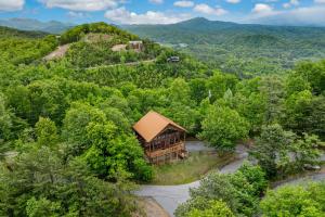 Sweet Bearoline by American Patriot Getaways