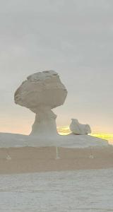 White & Black Desert Camping