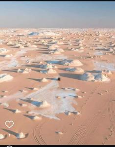 White & Black Desert Camping