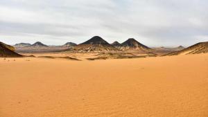 White & Black Desert Camping