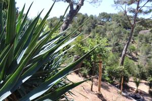 Mesomax - Villa vue mer, piscine, proche de la mer - Appartement RDC