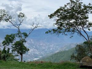 Ana Lucia-Casa del arbol