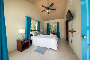 Space Freedom Connection