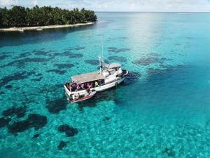 Space Freedom Connection