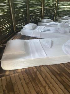 Kipara te Etnoaldea Indígena