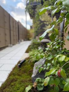 Takayama Showa no yado-A Modern Japanese-style villa with garden, excellent location