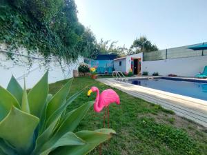 Vicentina Rooms by Casas do Alentejo