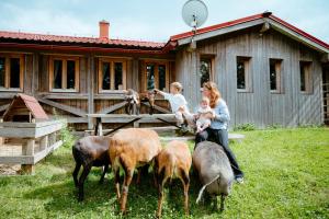 Apartmán na Ranči pod Lovošem