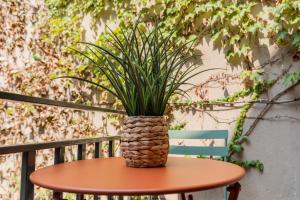 joli & charmant au centre Millau