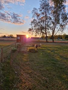 Happy Farm Little Cabin