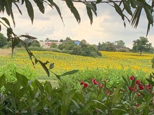 Gite les Combes Bellevue à Etrez, Appartement à la campagne