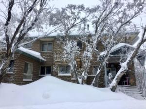 Reindeer 6 AMS Mt Buller