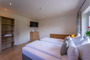 Haus Biechl mit Blick auf die Burg Hohenwerfen