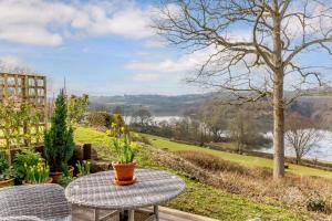 Treetops at Bewl Water