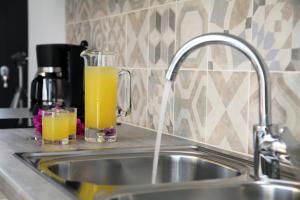 Nikiana City Center Apartment