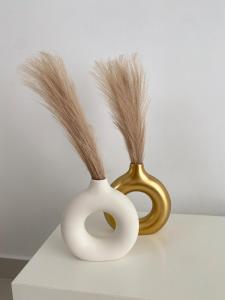 Family apartment in Punta Cana