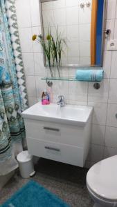 Kleines Studio Seefalke