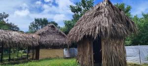 Hotel-ECOPOSADA KARANÁ NATIVA, SONIDOS DE LA SELVA