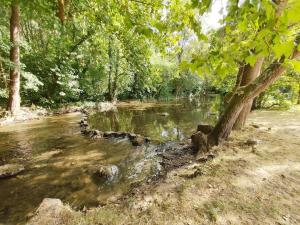 Les Studios Grenouilles