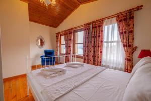 Bosphorus view willas