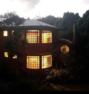 Casa Rosa de los Vientos in oak forest