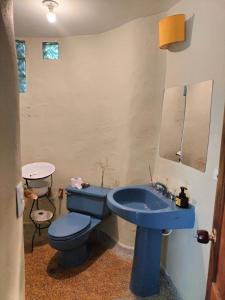 Casa Rosa de los Vientos in oak forest