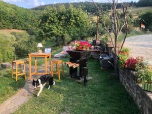 Maison pittoresque à Sainte-Croix-aux-Mines, vue sur la montagne