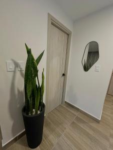 Cómodo apartamento Vista Perfecta Artemisa