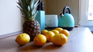 Kleines Studio Eismöwe